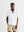WBBaine Base Tee