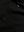 WBBuzo Tian Shirt